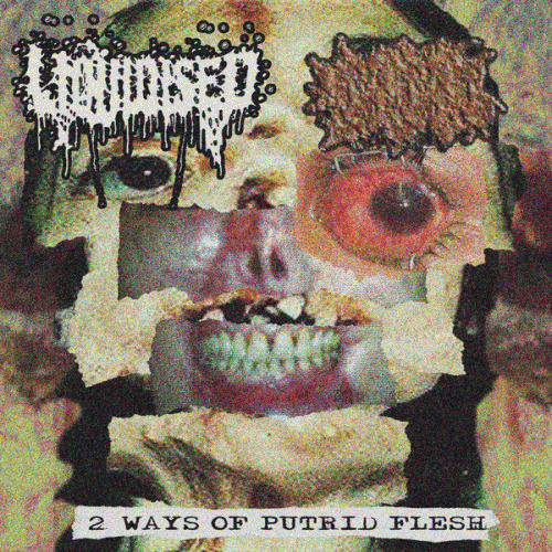 Liquidised : 2 Ways of Putrid Flesh